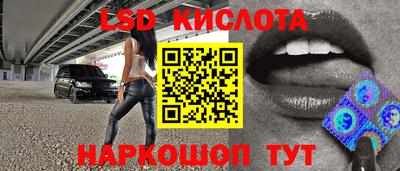 индика Можга