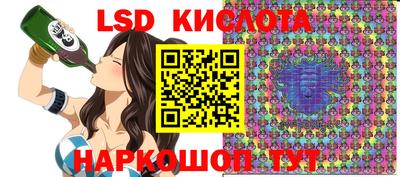 индика Можга