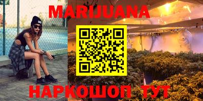 индика Можга