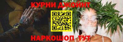 индика Можга