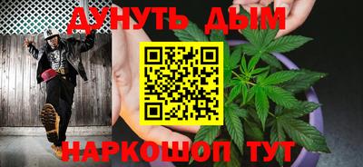 индика Можга