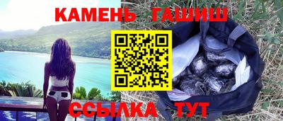 индика Можга