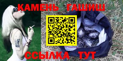 индика Можга