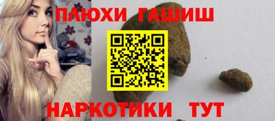 индика Можга