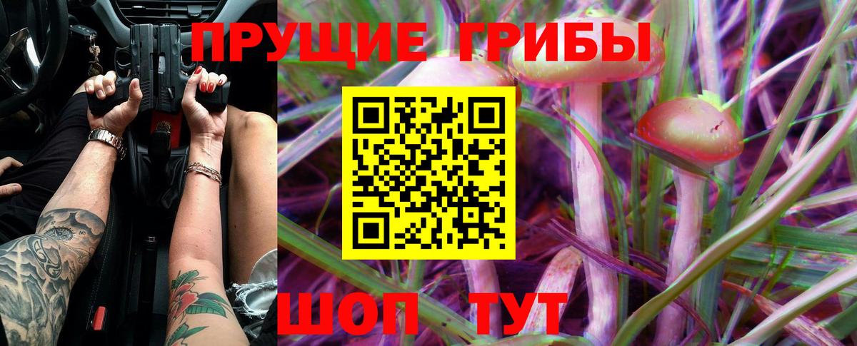 Братск  Псилоцибиновые грибы MAGIC MUSHROOMS  Псилоцибиновые грибы прущие грибы  Вход с VPN 