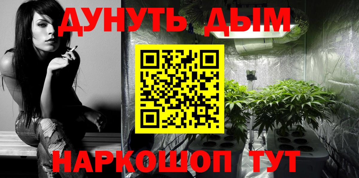МАРИХУАНА сатива Братск